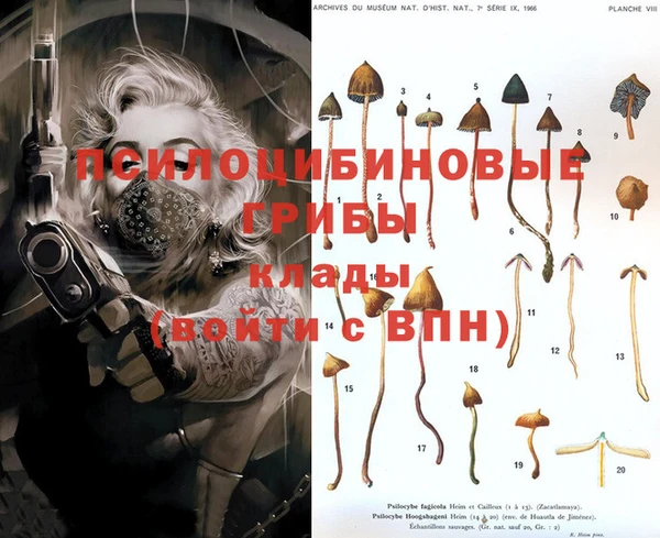 марки nbome Пестово
