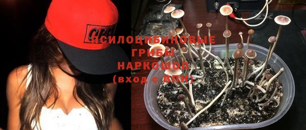 прущий лед Данков