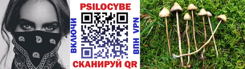 Галлюциногенные грибы Psilocybe  Купить  Дно 